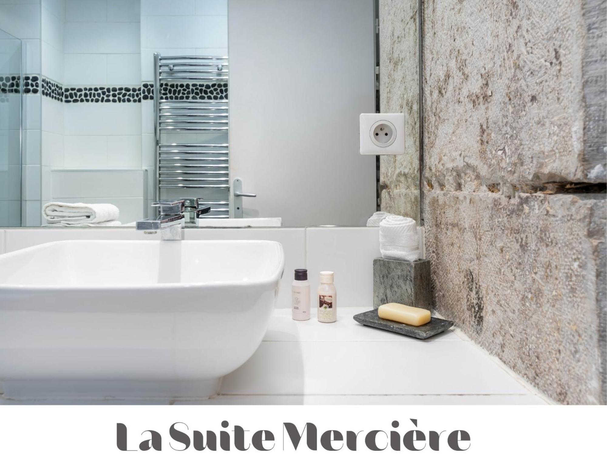 Le Carre Merciere , Appartements De Luxe Au Coeur De Lyon, Loft Et Studio 외부 사진